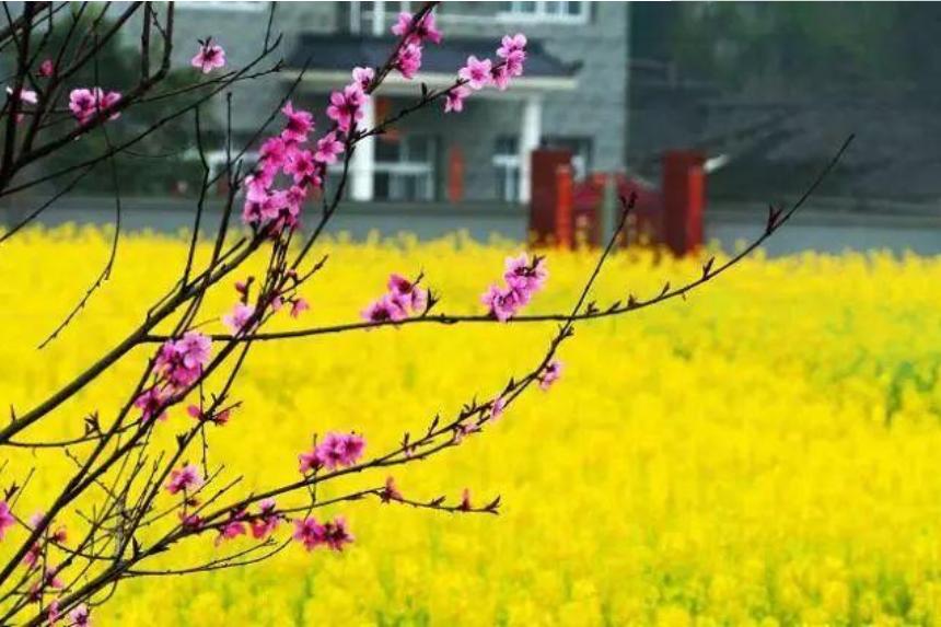 一首春歌原唱完整版,关于春歌的诗词