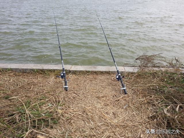 抛竿爆炸饵料怎么开,抛竿饵料商品饵怎么配