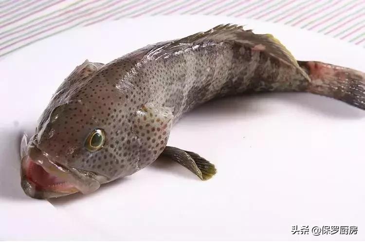 海鲜大荟萃,常见贝壳类海鲜