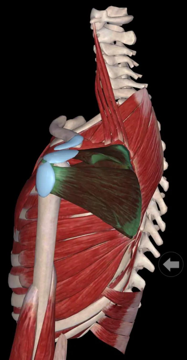 中医不是慢郎中第一集,中医不是慢郎中央视十套
