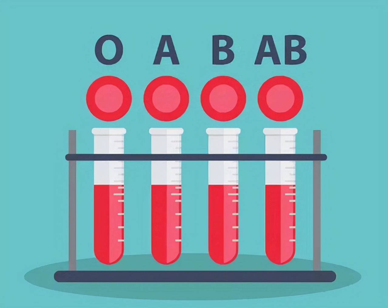 a型b型ab型o型哪种血型体质最好,a型b型ab型和o型哪种血型最好