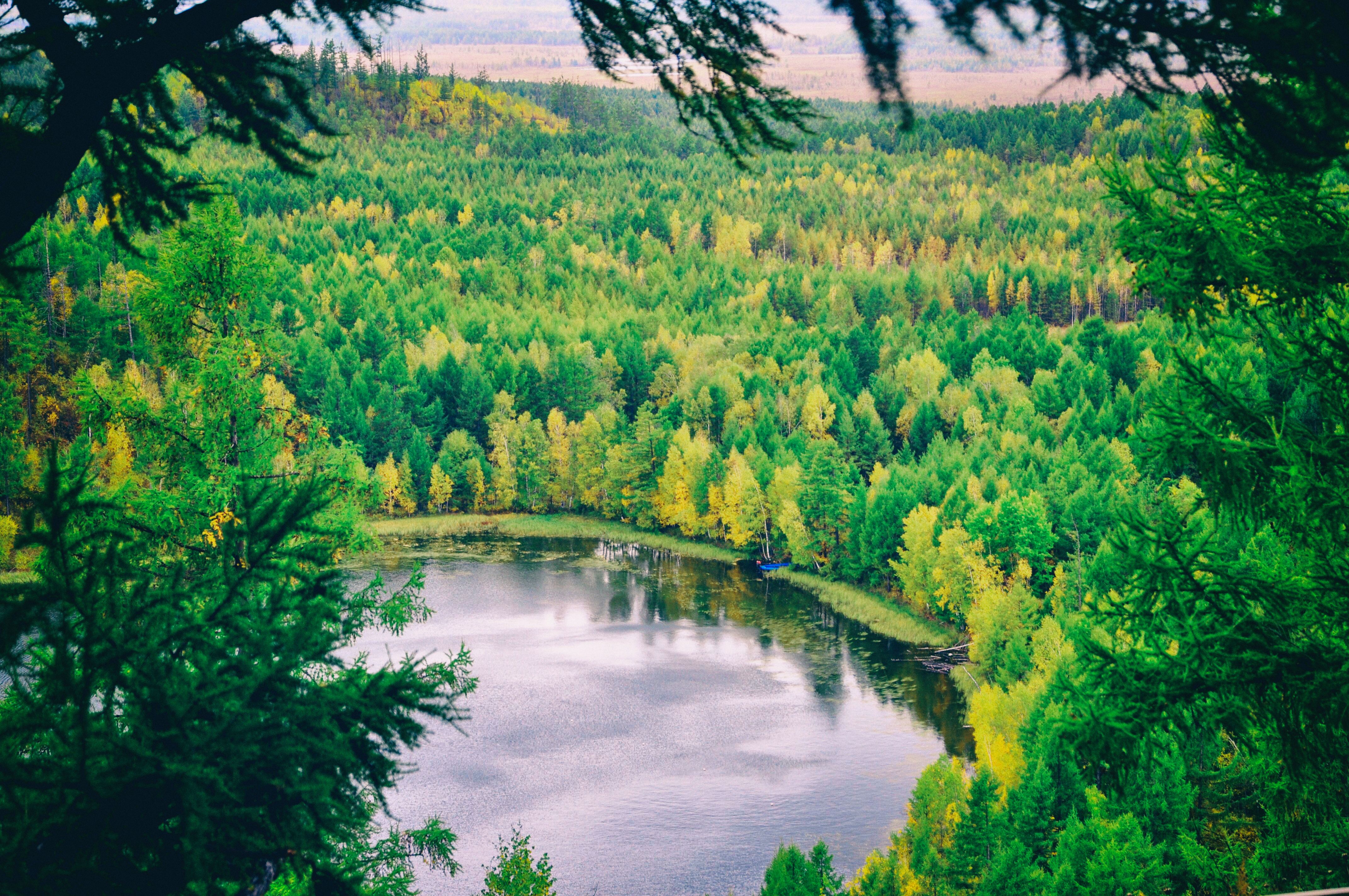 东北游记攻略,东北游记最新视频