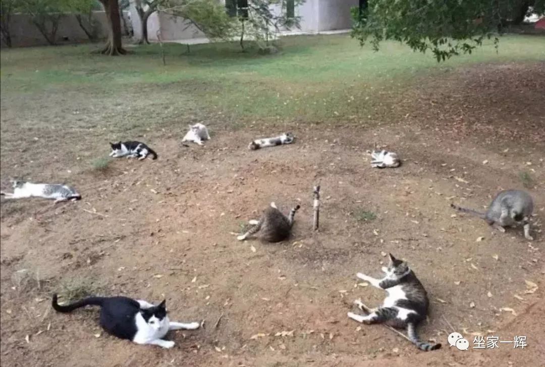 揭秘互联网比较常见的网赚骗局,知识分享割韭菜新套路