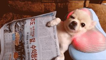 高中英语学习app推荐排行榜,小学生英语学习软件app推荐