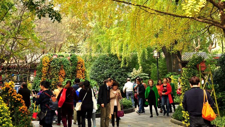 深秋的私语,美文美图经典欣赏