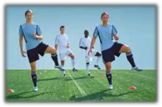 运动损伤的治疗与康复知识点,运动损伤的诊治