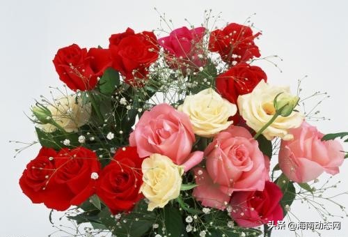 海南澄迈：千秋城市广场“浪漫情人节2.14甜蜜来袭!