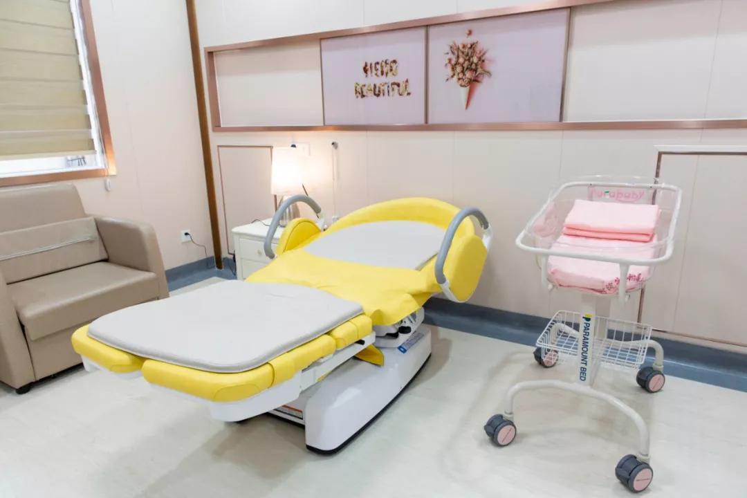 家庭式产房整装,家庭式一体化产房