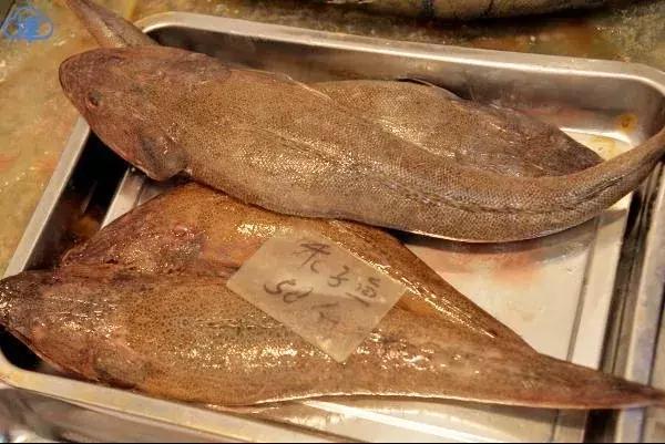 在天津的美食,天津开海美食攻略