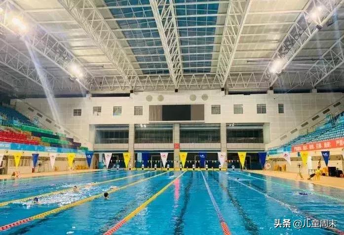 深圳游泳教练培训学校有哪些,深圳成人游泳培训班哪里好