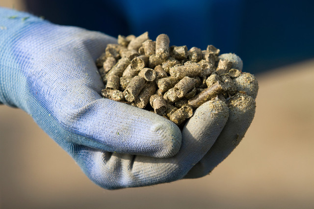 窝子里面有鱼泡就是不吃钩怎么办,窝里有小泡但没有鱼咬钩