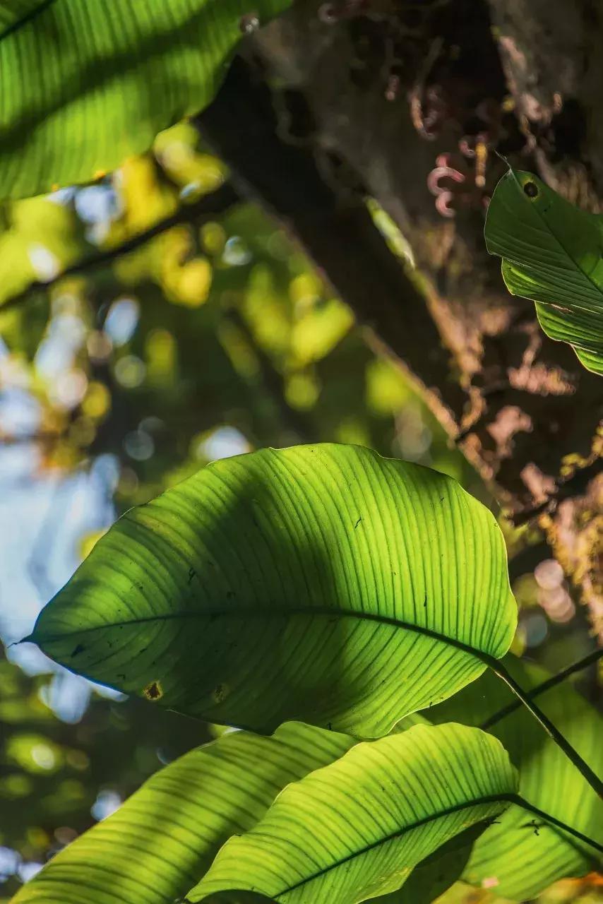 云南中越边境小城,云南新兴网红城市