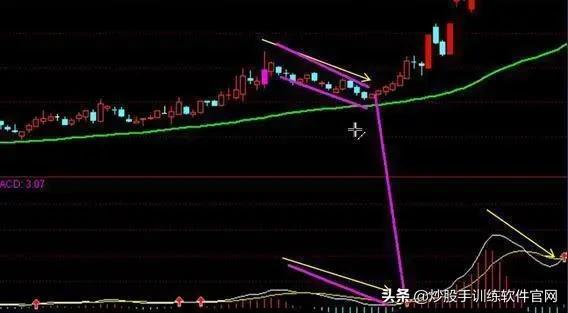 像乌龟一样趴着炒股,像麻雀一样的股票