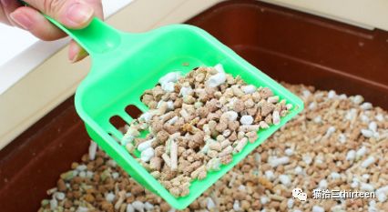 疫情期间,猫咪经常呕吐|并非肠胃问题,便秘尿闭才是罪魁祸首