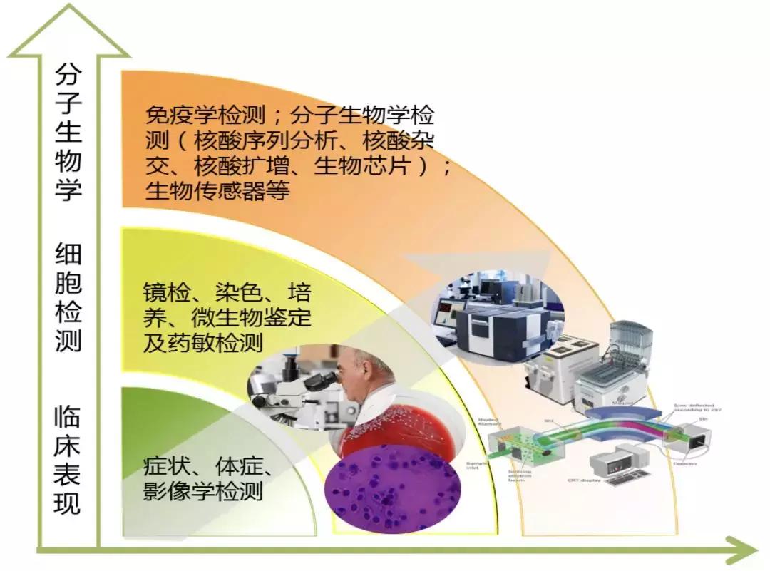 呼吸道感染的诊断和鉴别诊断,感染性监测存在的问题