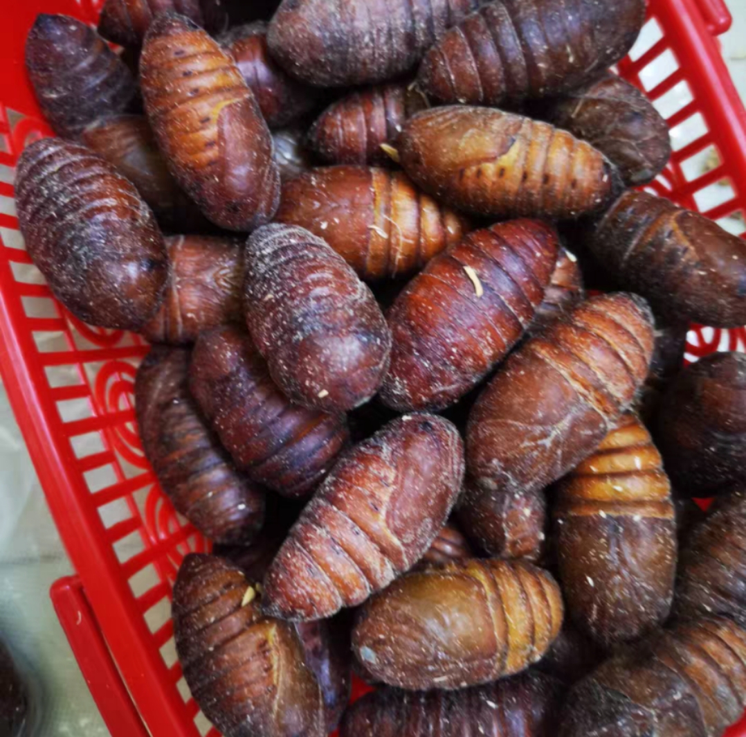 各种虫子美食大总结,关于虫子的重口味美食