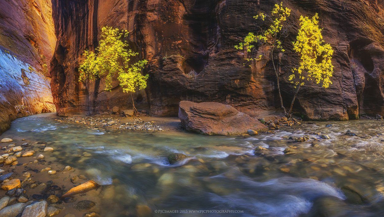 单反相机光学取景和实时取景,如何调整相机实时取景参数