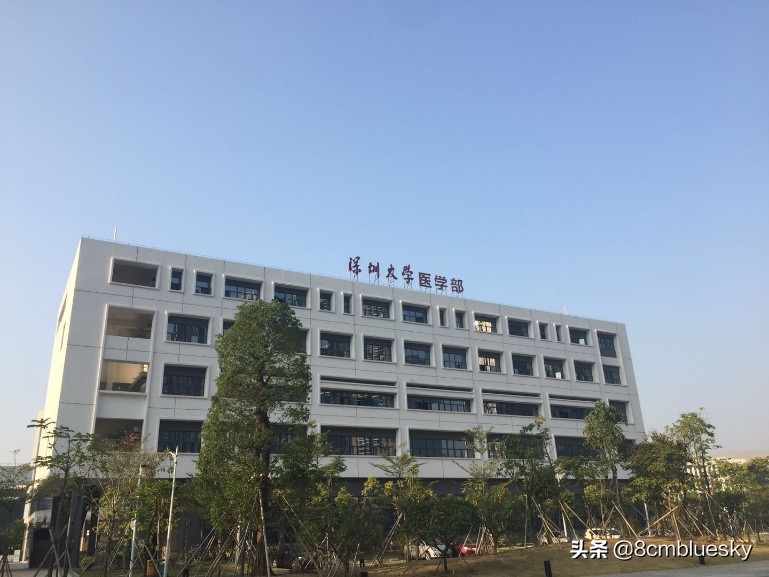 学医不代表什么都懂,学医不从医好吗