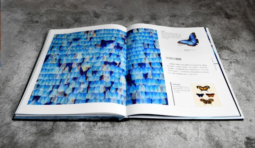 揭秘动物世界的“冷知识”,动物世界中的奇妙之处