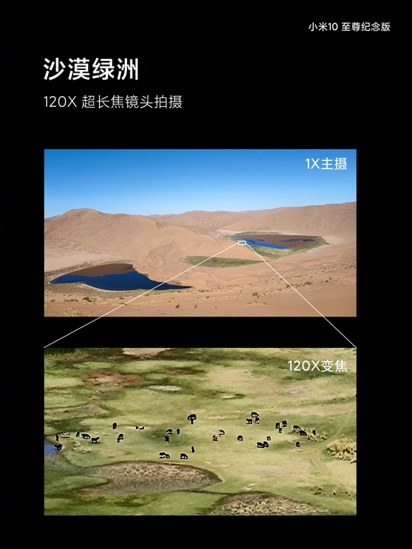 小米科技犬推荐,雷军小米极致爆款