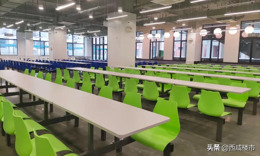 新增的231个学位是什么,5年内新增438万公办学位