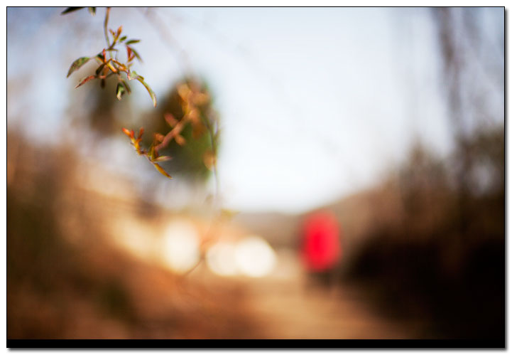 中医如何知虚实寒热,中医虚实的关系