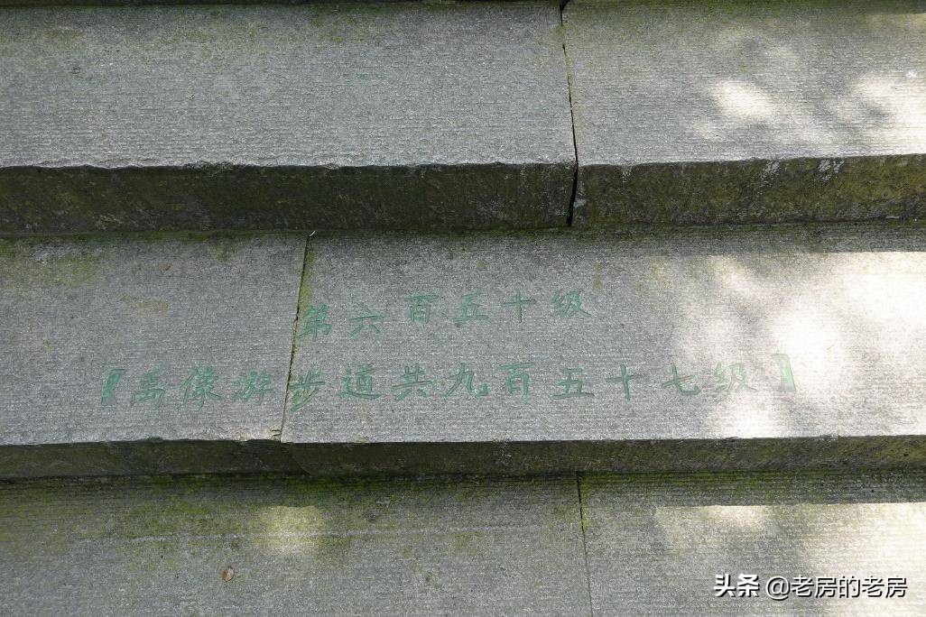 最便宜索尼vlog相机,索尼rx0m2值不值得买