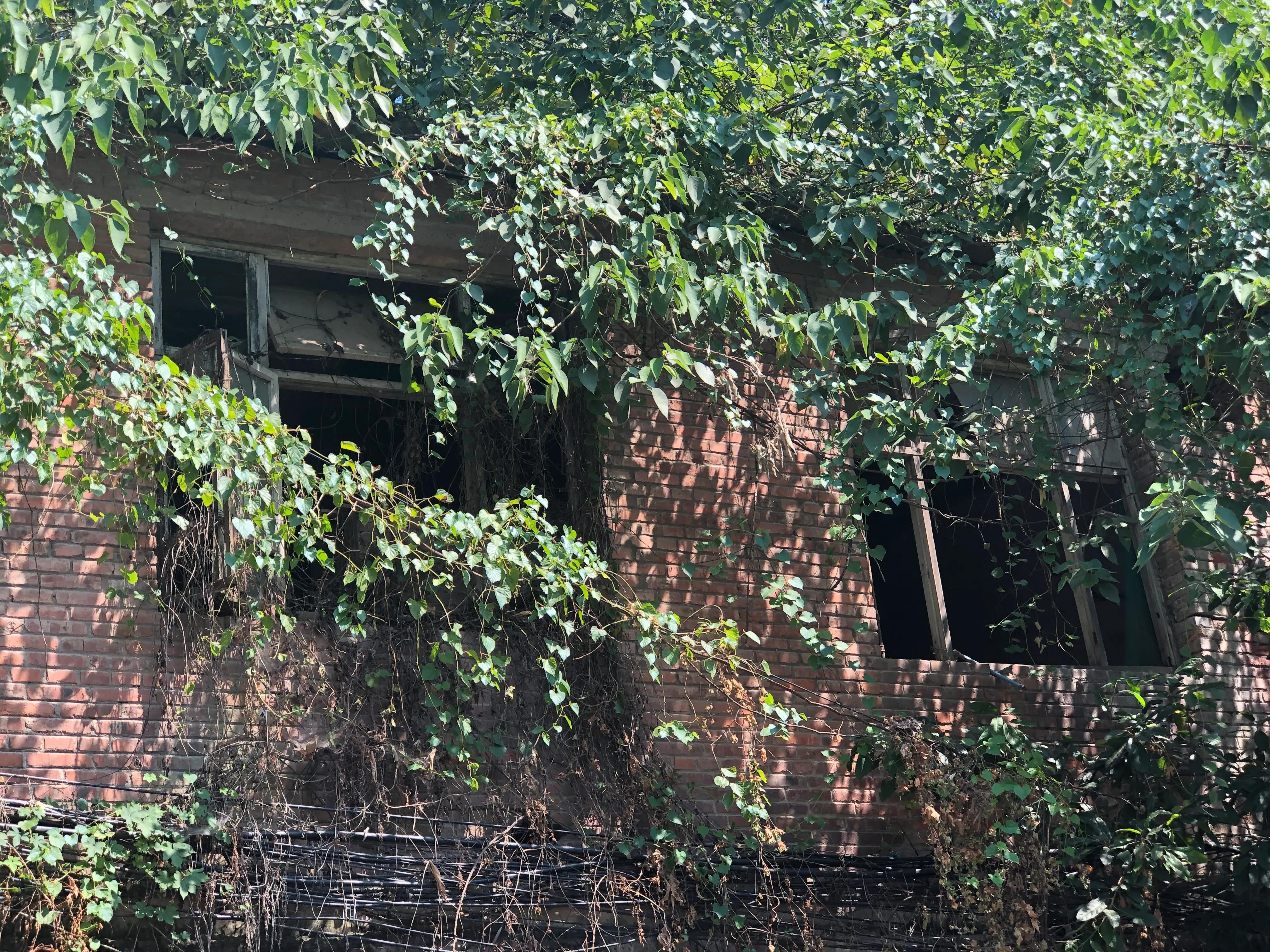 婕閲嶅簡瑙嗛,婕閲嶅簡