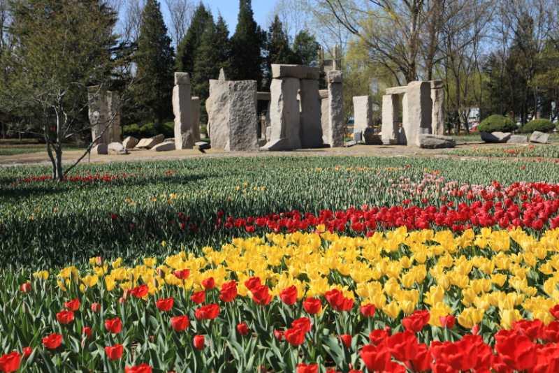 北京丰台五一旅游最佳去处,丰台区赏花景点