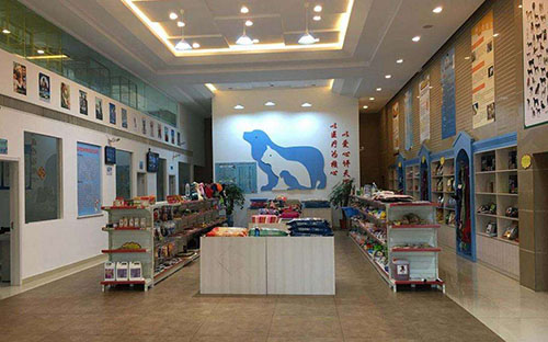 泰迪眼周红肿掉毛,母泰迪下身红肿怎么办