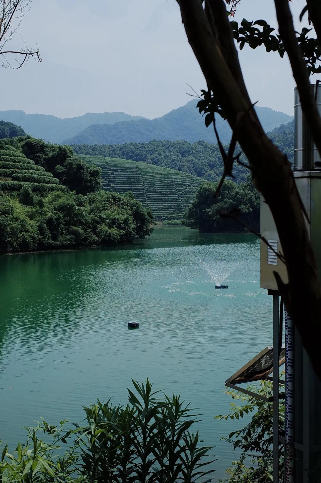 杭州西湖人少景美的地方,杭州人少景美免费景点