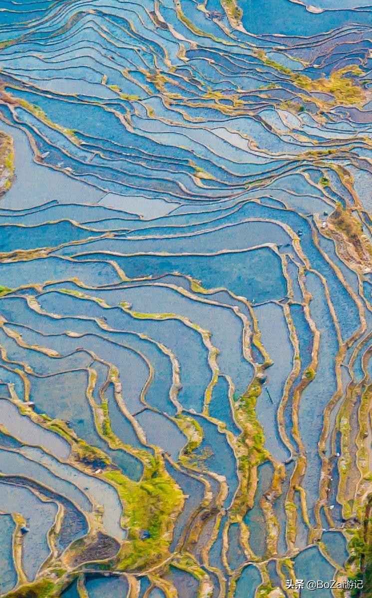 云南旅游攻略最佳线路洱海,到云南旅游必去景点推荐