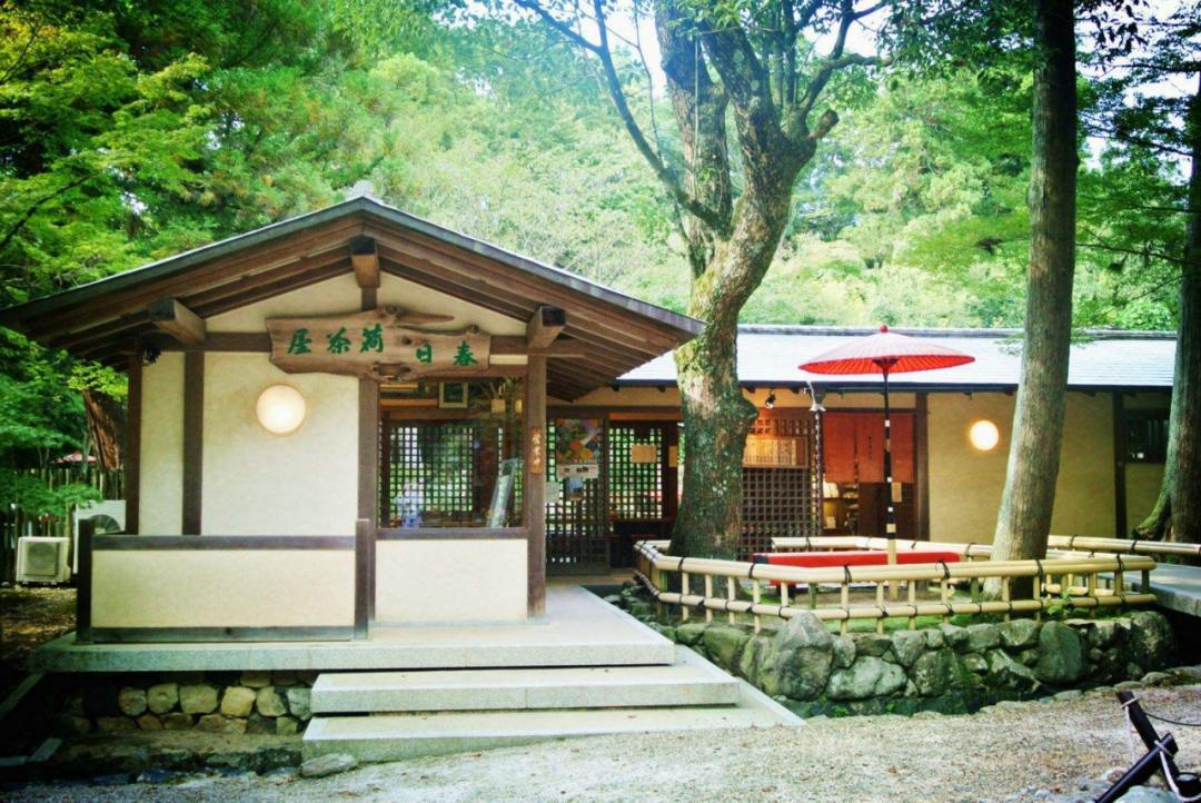 四月天一茶一粥,最美四月天奔赴一场春天的约会