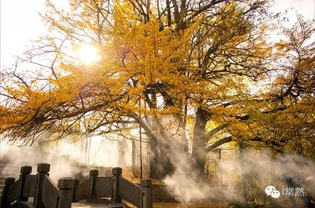 何必去远方原唱视频,何必去远方京都在左常熟在右