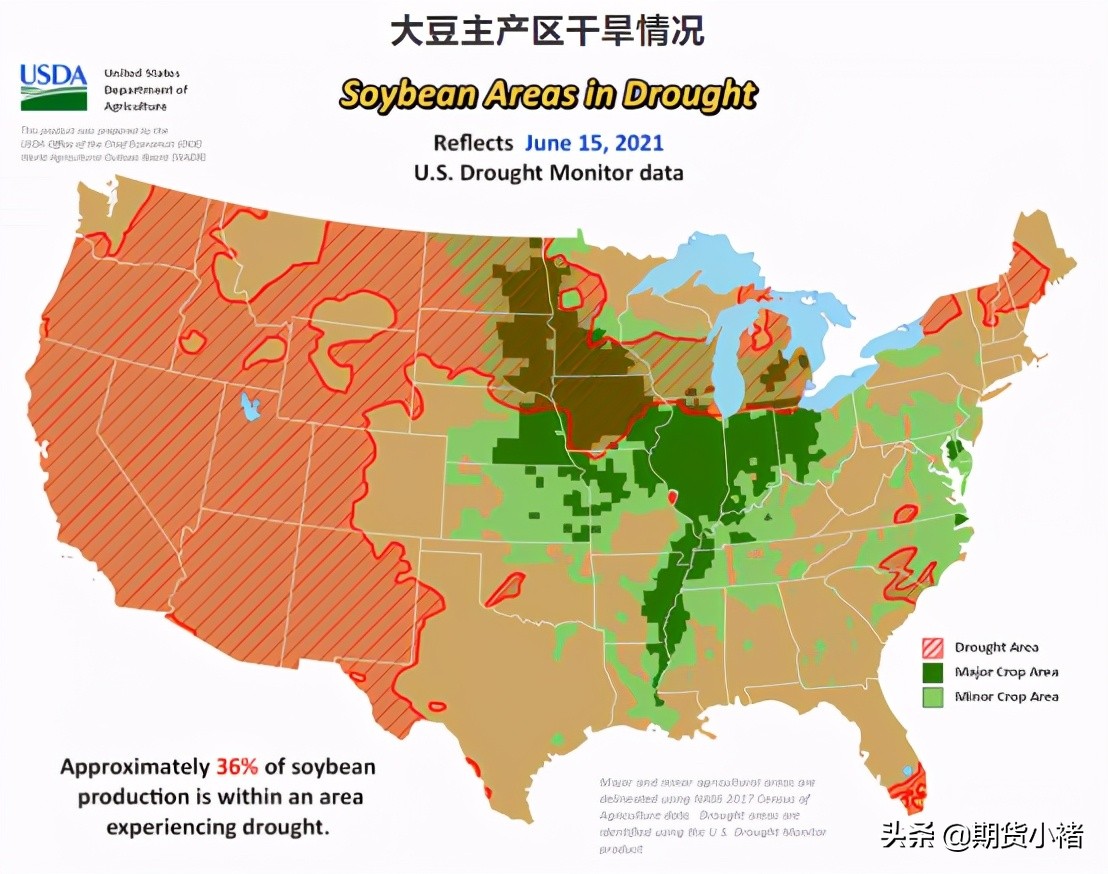 饲料企业提货慢，豆粕库存连增数周，美豆企稳在即，期货敢抄底？