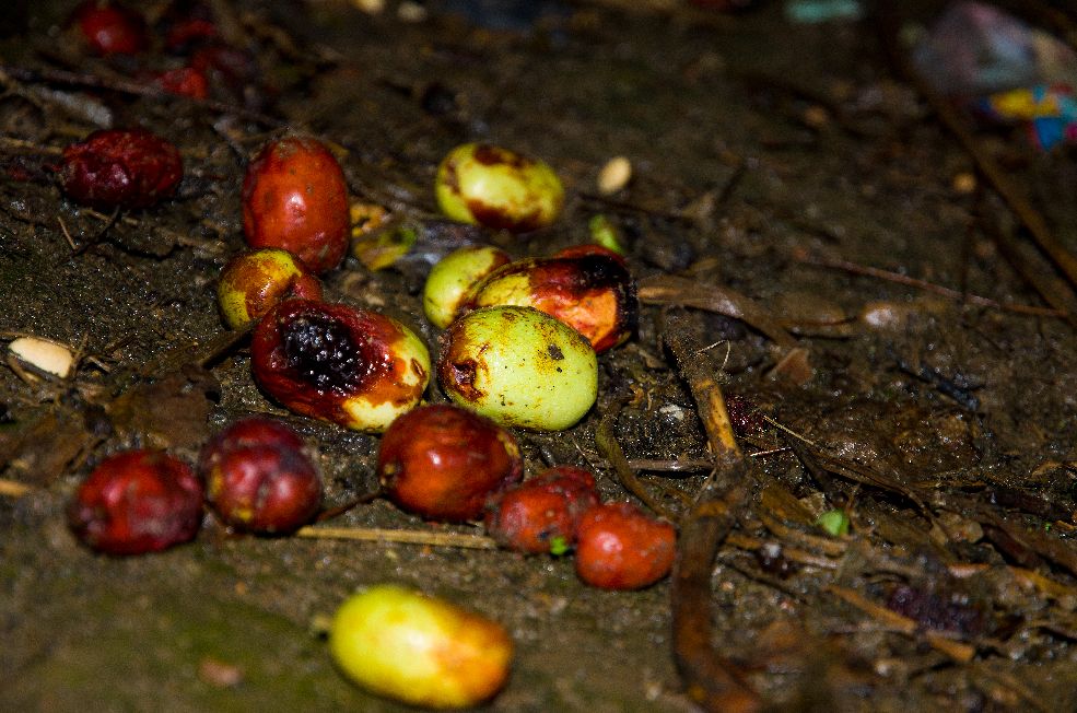 尼康d700有hdr功能吗,尼康d700二手还值多少钱