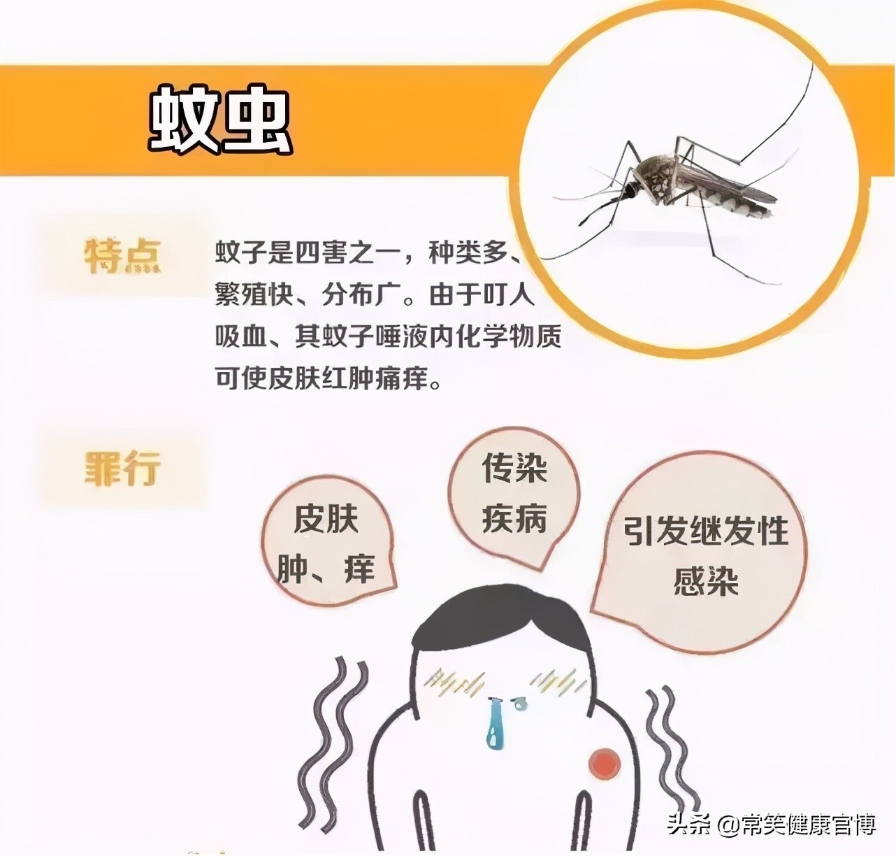 夏季蚊虫肆虐谨防虫咬皮炎,蚊虫痒怎么办快速止痒小妙招