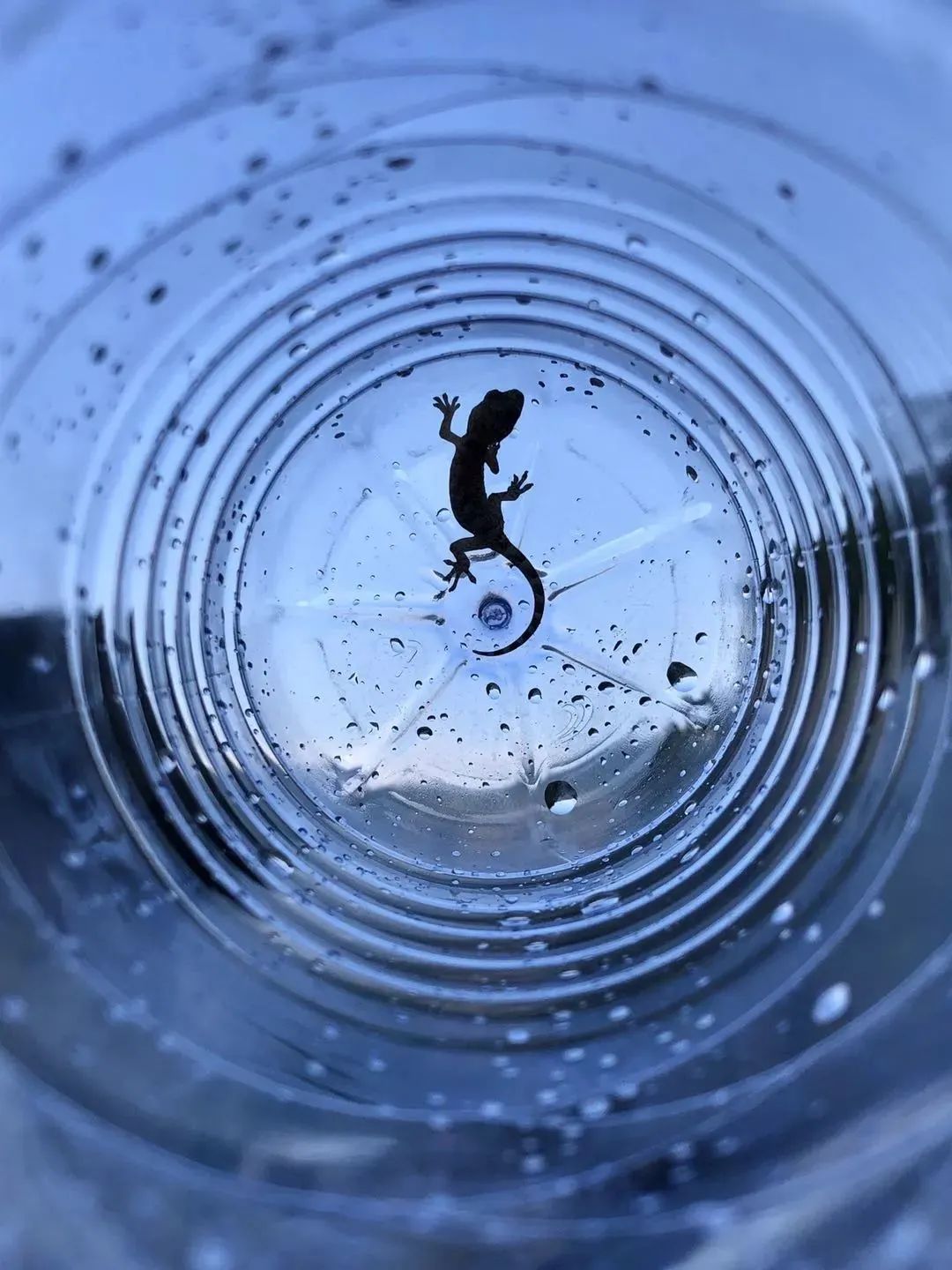 点赞他们的高光时刻,大家用手机拍出过什么好看的照片