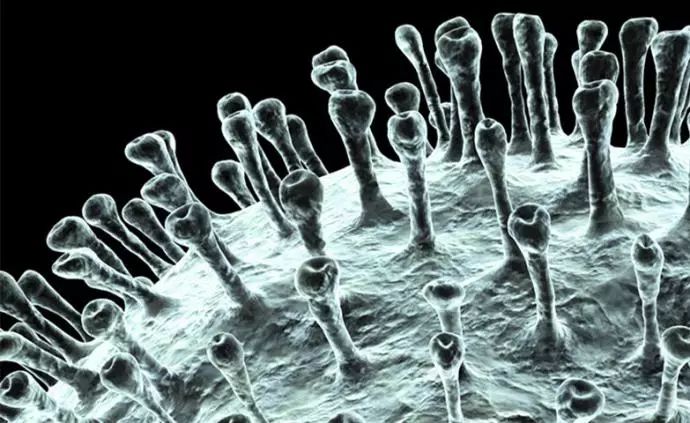 疫情过后这7种人将会被淘汰,疫情过后每个人都变得坚强