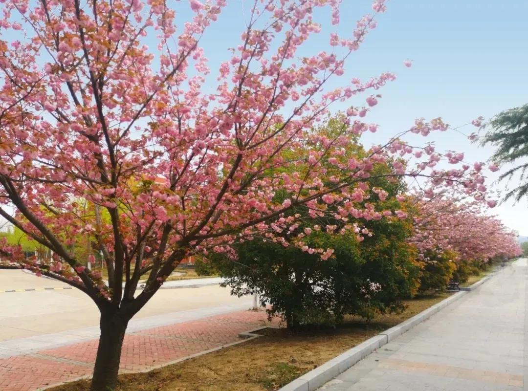 淮南师范学院在安徽排名,淮南师范学院安徽省排名