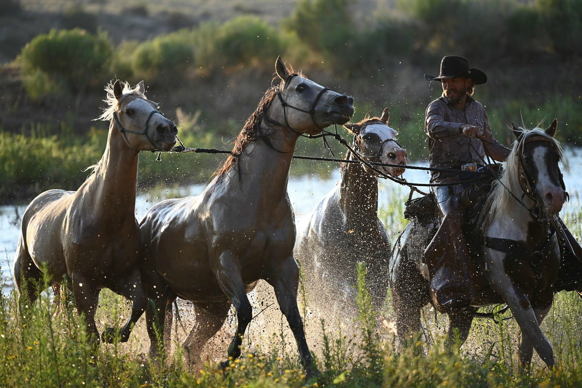 尼康l10拍照教程,尼康相机推荐10000左右