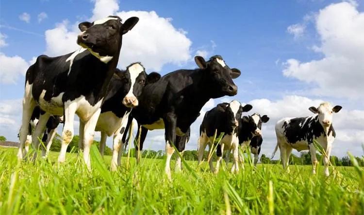 电商为什么要做大促,电商大促是怎么回事