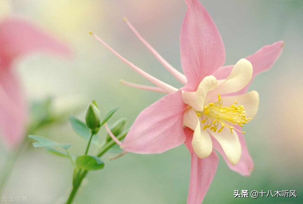 考研调剂适合什么时候发邮件,考研调剂发邮件咨询应该问什么