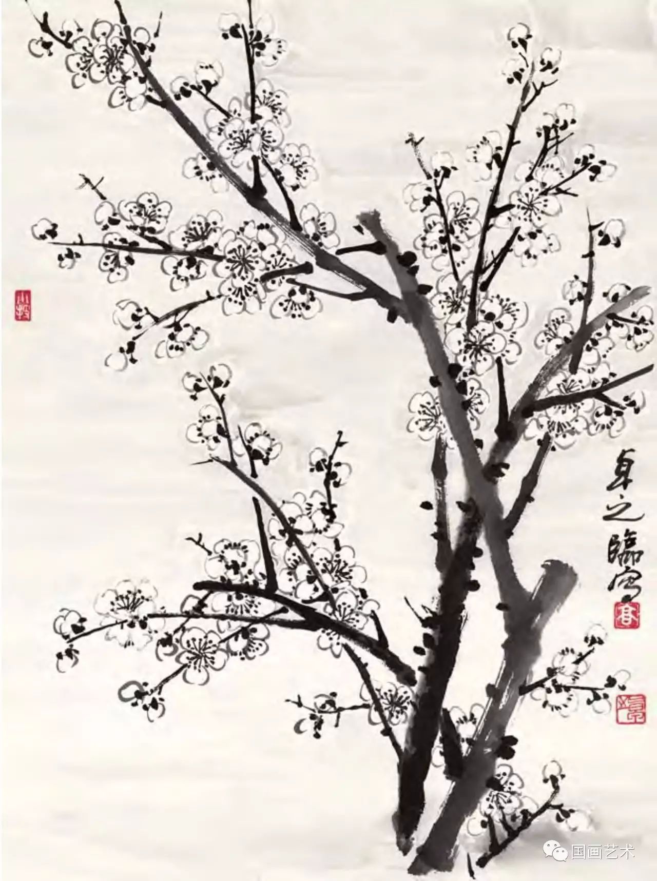图文教程梅花,国画梅花的画法视频