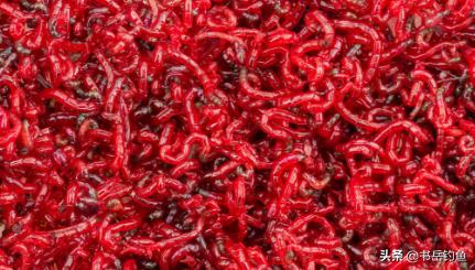 抛竿野钓怎样用饵最省钱,冬季抛竿用什么饵料最好