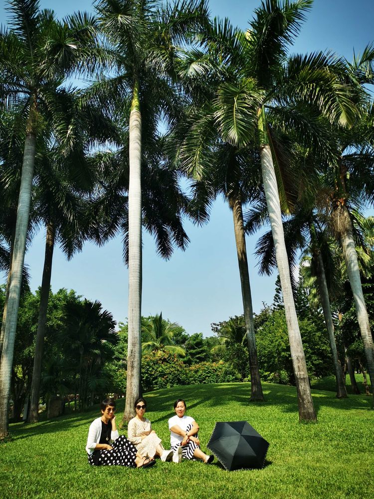 三亚冲浪旅行攻略,去三亚旅游看海