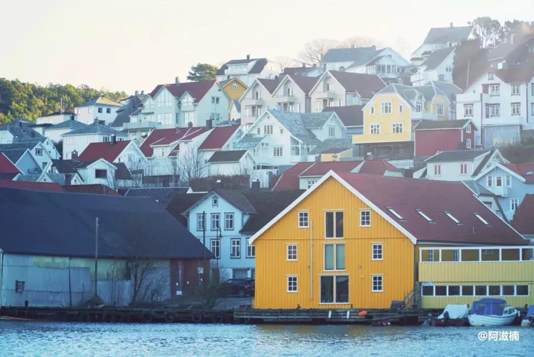为了吃最贵的鱼你们会驱车多远,世界上最难吃的鱼青花鱼