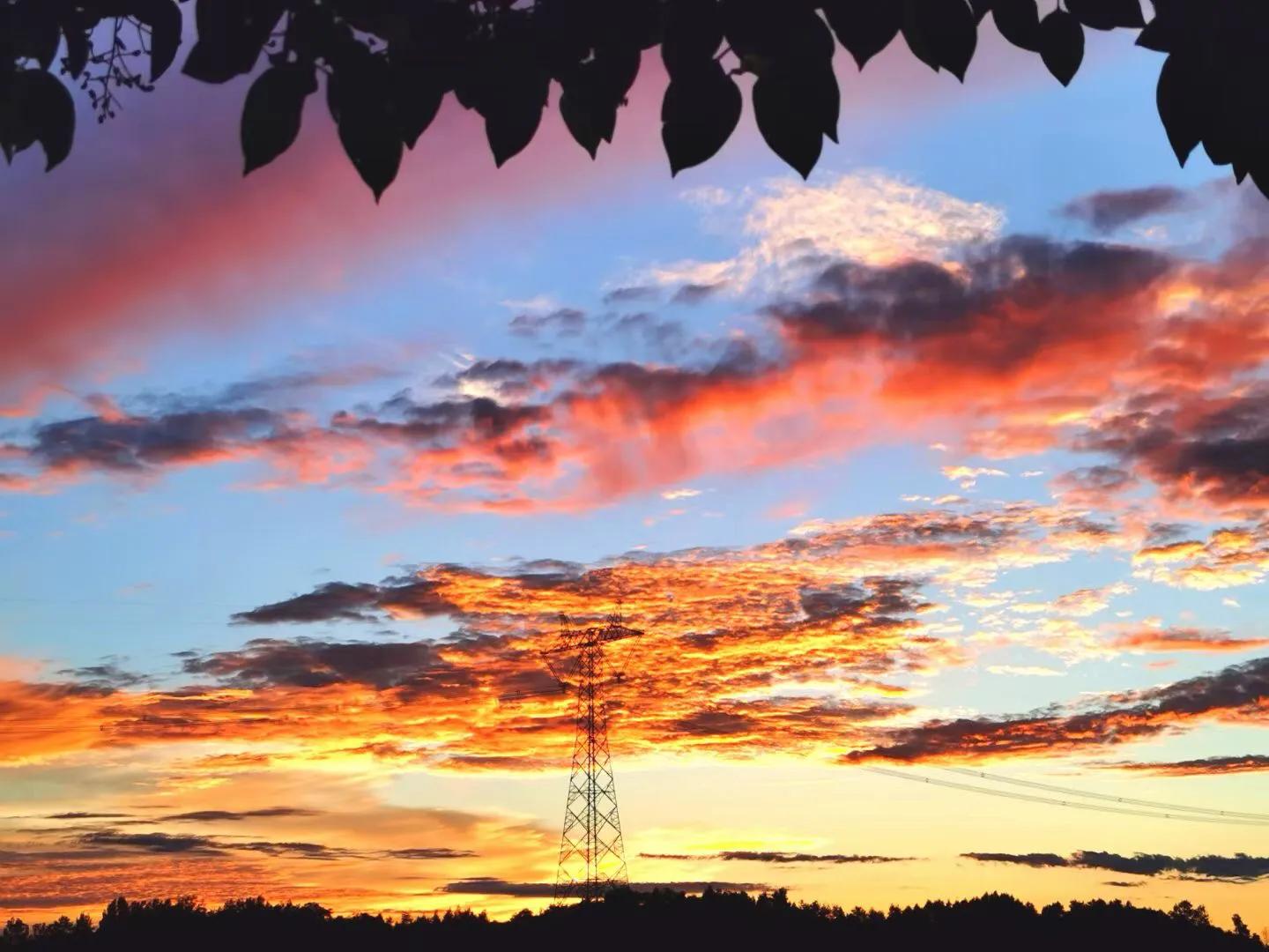 互相借鉴教学相长作文1000字,教学相长作文