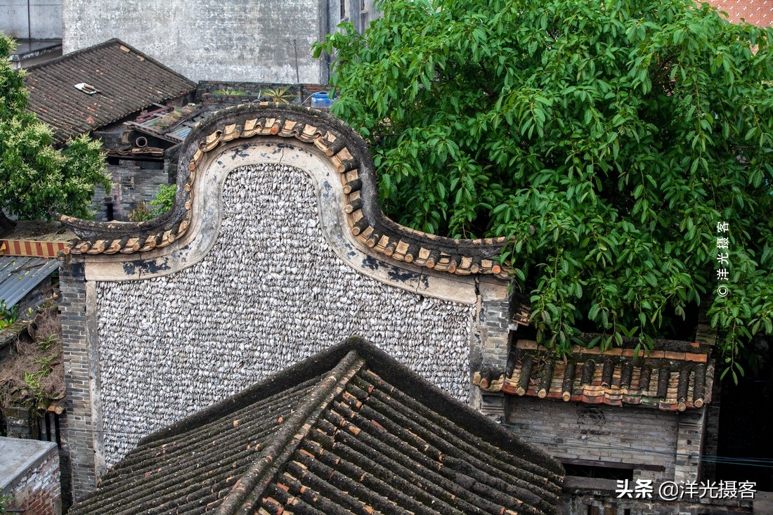 阳西县程村镇蚝排,阳西中国蚝乡在哪里