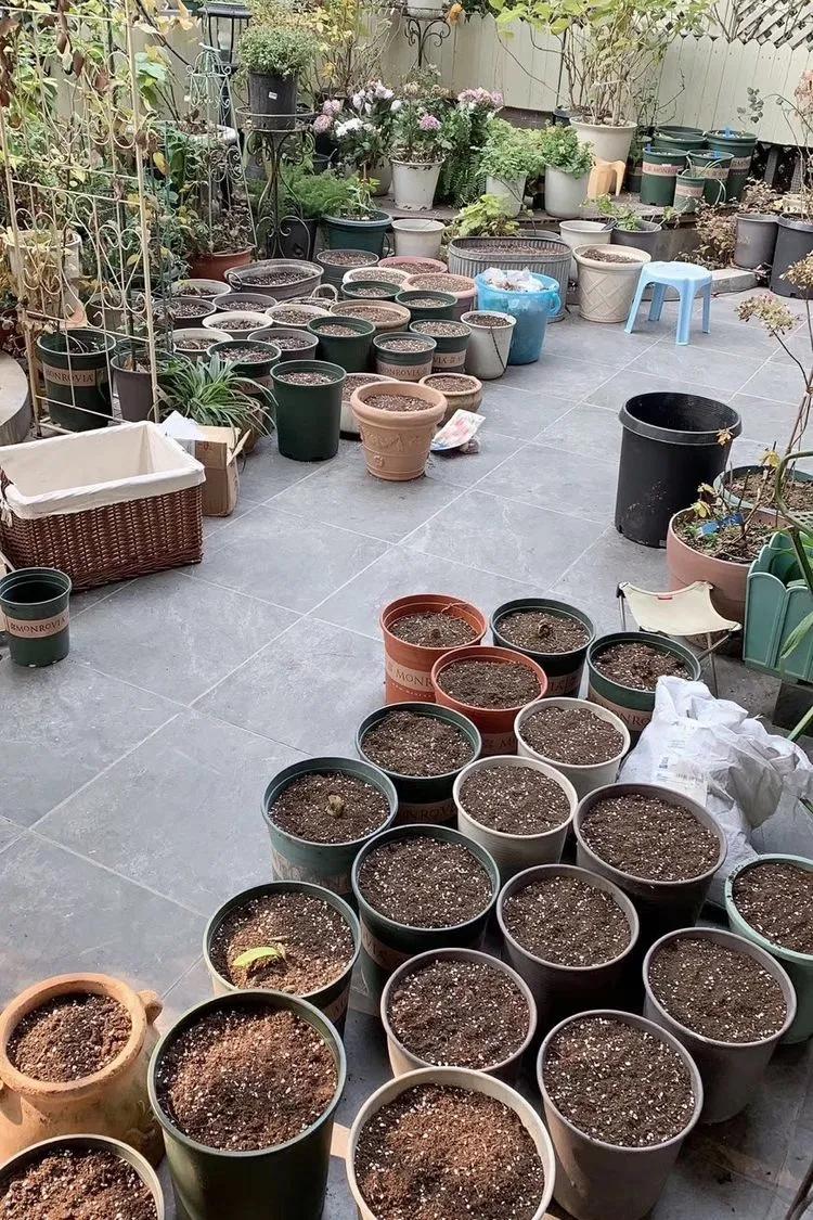 三年前买了套绿地110平三房130万,三年前耗资百万打造小院出售